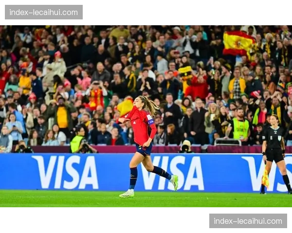 西班牙国家队世界杯备战紧锣密鼓，年轻新星与老将伊斯科携手出征