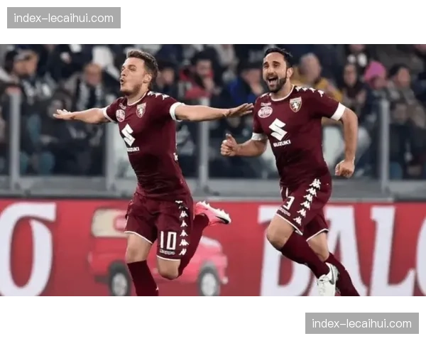 维罗纳0-0战平都灵，比赛报告指出双方在禁区内解围次数合计达48次